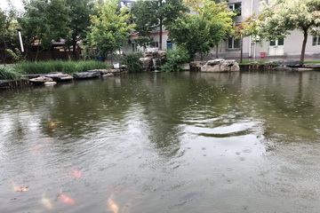 加拿大pc28展望(中国)官方网站