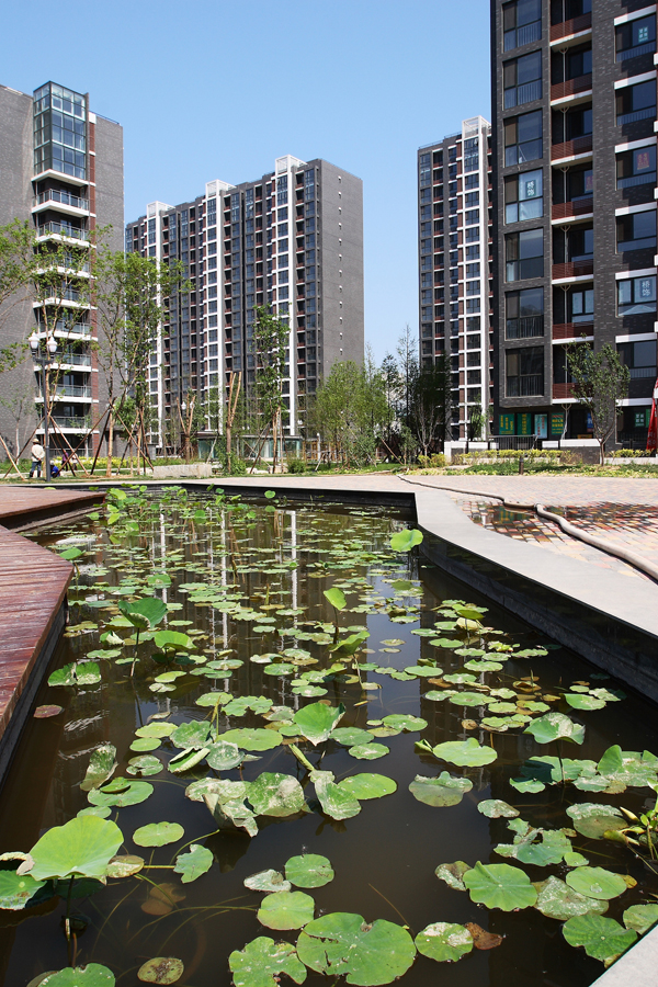 加拿大pc28展望(中国)官方网站