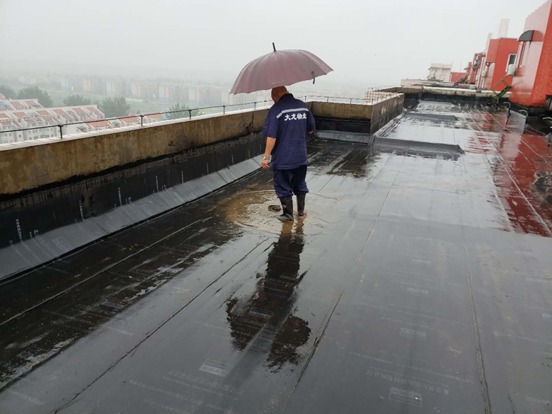 加拿大pc28展望(中国)官方网站