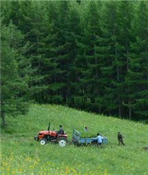 加拿大pc28展望(中国)官方网站