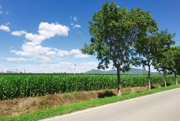 加拿大pc28展望(中国)官方网站