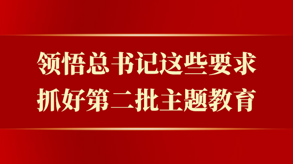 意会总书记这些要求，，，，，，，抓好第二批主题教育