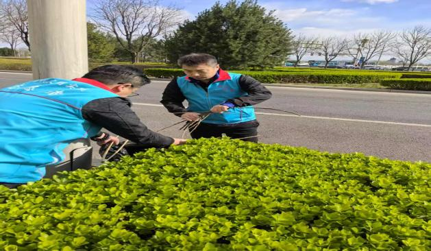 加拿大pc28展望(中国)官方网站